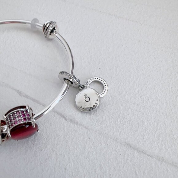 Women's Pandora Adjustable Charm Bracelet - Picture 3 of 5